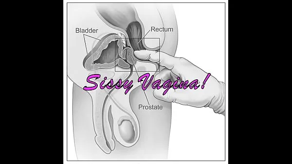 Nouveaux Sissy diagnostic parfait extraits chauds