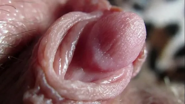 Fresh awesome big clitoris showing off warm Clips
